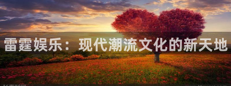 领航国际注册